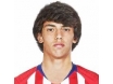 Joao Felix Joao Felix