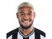 Joelinton Joelinton