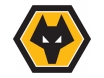 Wolves drakt