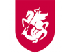 Georgia EM 2024 Herre