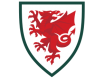 Wales drakt